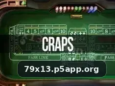 79x13